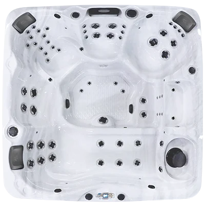 Avalon EC-867L hot tubs for sale in Mission